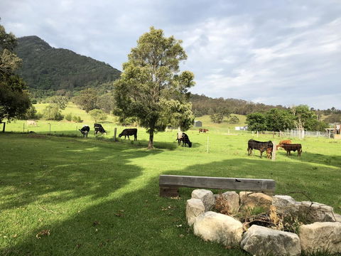 Arcadia - The Barn Cottage & Rosehill Cottage - Hotel Accommodation 29