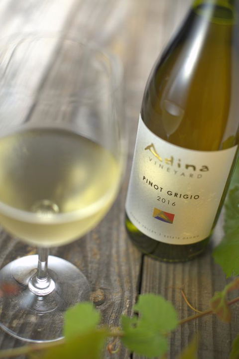 Adina Vineyard - Hotel Accommodation 7