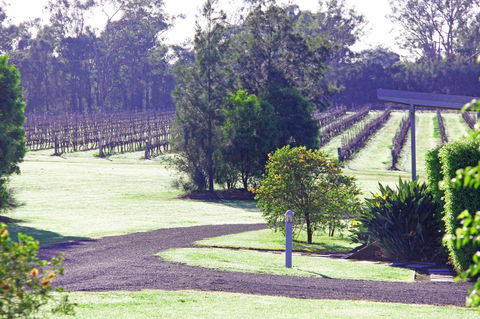 Adina Vineyard - Hotel Accommodation 14