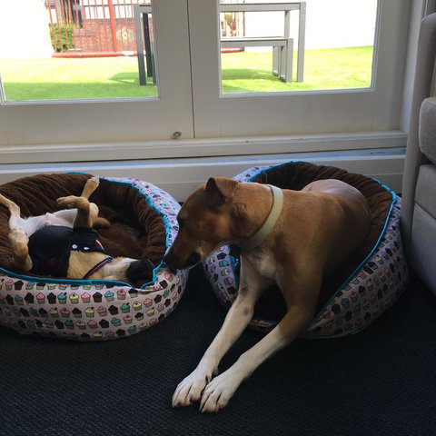 The Ultimo - Hotel Accommodation 5