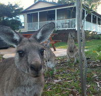 Bush  Bay Cottage - Hotel Accommodation