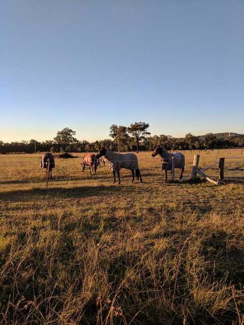 Madigan Wine Country Cottages - Hotel Accommodation 8
