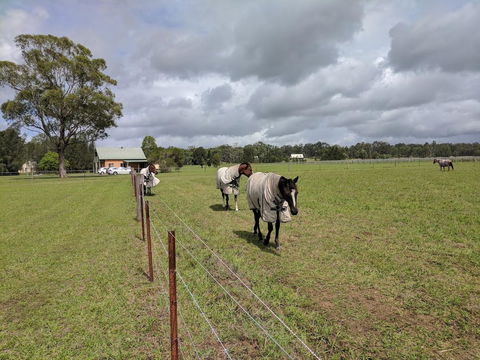 Madigan Wine Country Cottages - Hotel Accommodation 9