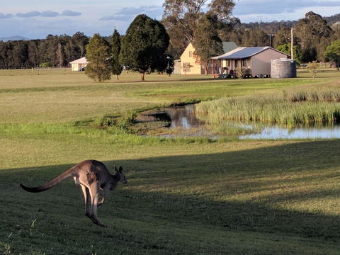 Madigan Wine Country Cottages - Hotel Accommodation 6