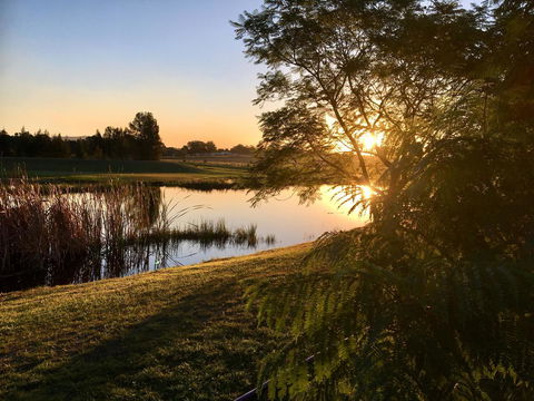 Madigan Wine Country Cottages - Hotel Accommodation 17