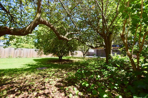 Wildlife Lodge Katoomba - Hotel Accommodation 26