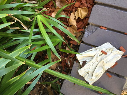 Quest St Leonards - Hotel Accommodation 22