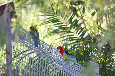 Marty's @ Little Beach - Hotel Accommodation 27