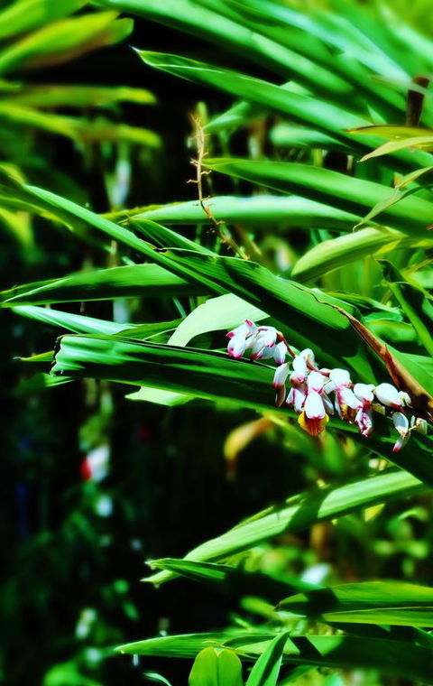 Palms City Resort - Hotel Accommodation 11