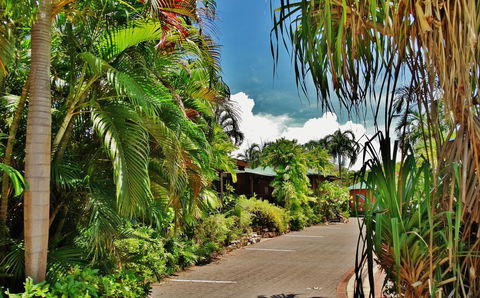 Palms City Resort - Hotel Accommodation 4