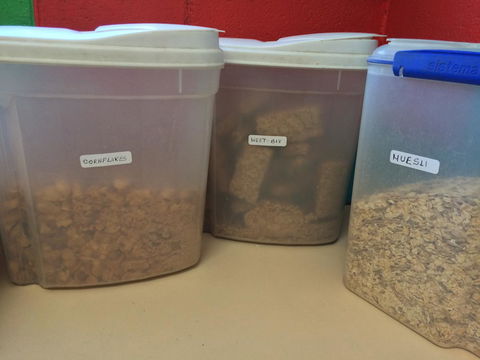 Alice Lodge - Hotel Accommodation 33