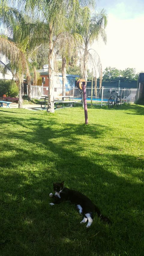 Alice Lodge - Hotel Accommodation 26