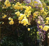 Bowral Road Bed and Breakfast - Hotel Accommodation