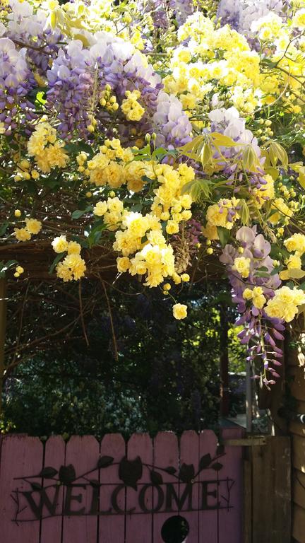Bowral Road Bed And Breakfast - Hotel Accommodation 0