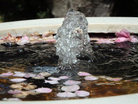 Bowral Road Bed And Breakfast - Hotel Accommodation 2