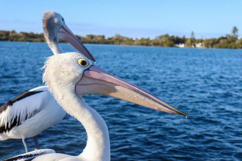 Bromyard Cottage - Hotel Accommodation 1