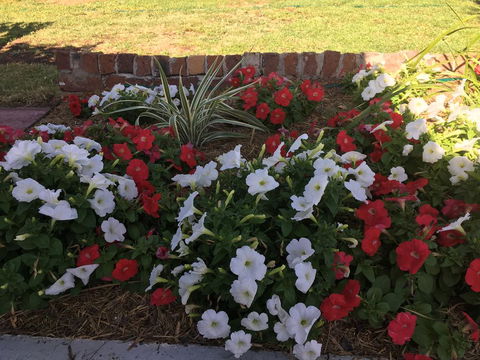 Bryants Motel - Hotel Accommodation 3