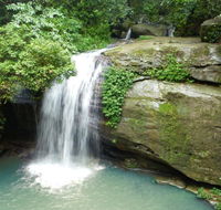 Buderim Forest Hideaway - Hotel Accommodation