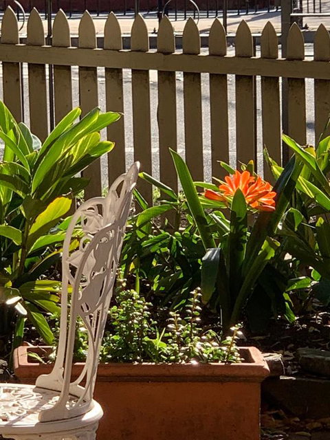 Burwood Bed And Breakfast - Hotel Accommodation 3