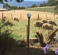 Cape View B and B - Hotel Accommodation