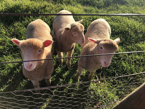 Cape View B And B - Hotel Accommodation 3