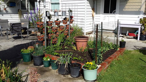 Carisbrook Cottage Queenscliff - Hotel Accommodation 1