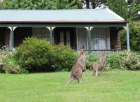 Book Mount Victoria Accommodation Vacations Hotel Accommodation Hotel Accommodation