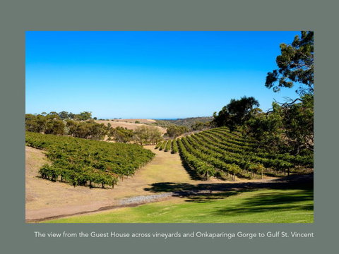 Chapel Hill Winery Guest House - Hotel Accommodation 1