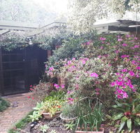 Charming country house close to Grafton