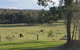 Charolais Cottage - thumb 3
