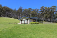 Cherryview Cygnet