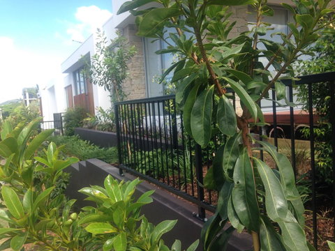 City Pads 2 - Hotel Accommodation 0