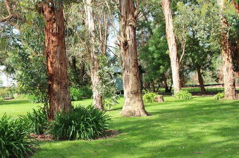 Clarendon Chalets - Hotel Accommodation 1