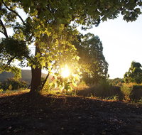 Clarendon Forest Retreat - Hotel Accommodation