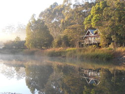 Book Ravensbourne Accommodation Hotel Accommodation Hotel Accommodation