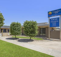 Comfort Inn May Park - Hotel Accommodation