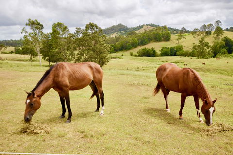 Country Breeze Farm Stay - Hotel Accommodation 1