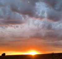 creative 3D sculpture share - Hotel Accommodation