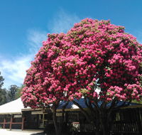 Crossways Country Inn