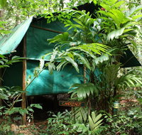 Daintree Crocodylus - Hotel Accommodation
