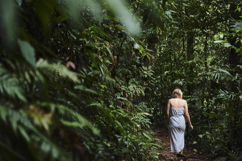 Daintree Ecolodge - Hotel Accommodation 2