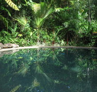 Daintree Rainforest Retreat Motel - Hotel Accommodation