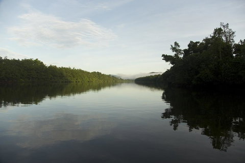Daintree Village Hideaway - Hotel Accommodation 2