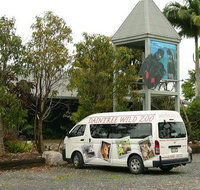 Daintree Wild Bed  Breakfast - Hotel Accommodation