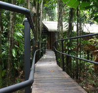 Daintree Wilderness Lodge - Hotel Accommodation