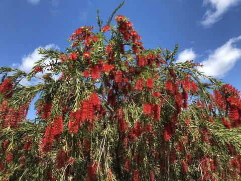 Destiny's Run Retreat - Hotel Accommodation 1