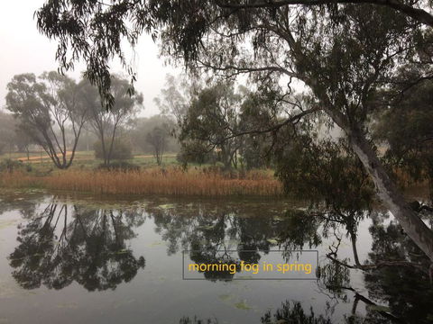 Donald Riverside Motel - Hotel Accommodation 1