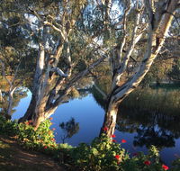 Donald Riverside Motel - Hotel Accommodation