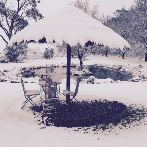 Drayshed Cottage - Hotel Accommodation 3