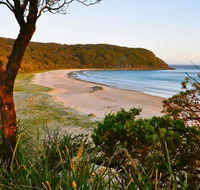 Durras Lake North Holiday Park - Hotel Accommodation
